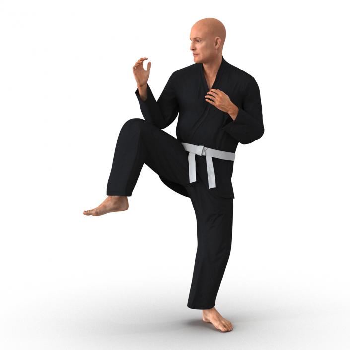 Karate Fighter Pose 3 Black Suit 3D