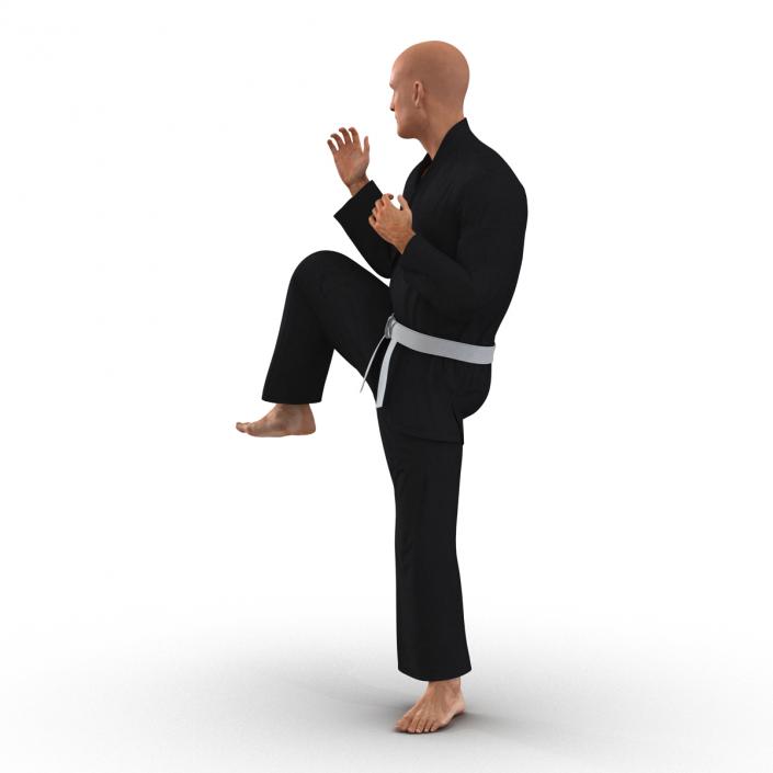 Karate Fighter Pose 3 Black Suit 3D