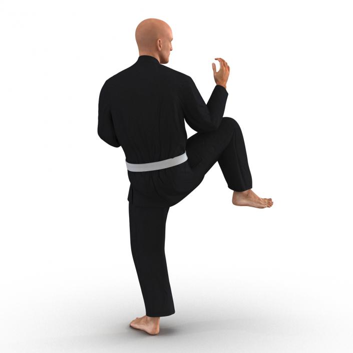 Karate Fighter Pose 3 Black Suit 3D