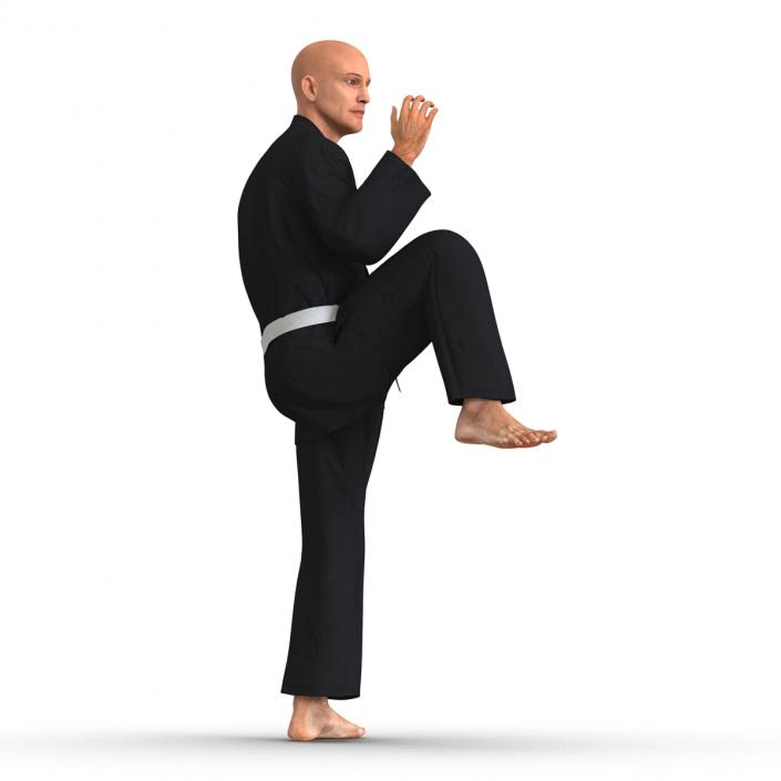 Karate Fighter Pose 3 Black Suit 3D