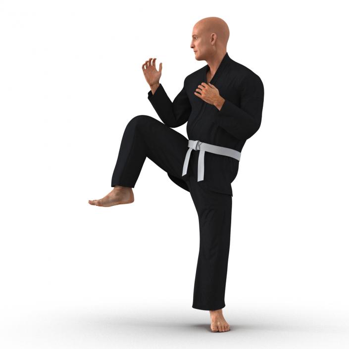 Karate Fighter Pose 3 Black Suit 3D