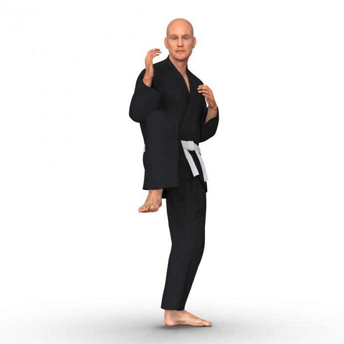 Karate Fighter Pose 3 Black Suit 3D