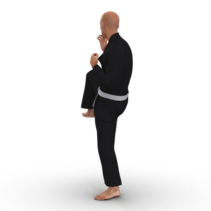 Karate Fighter Pose 3 Black Suit 3D