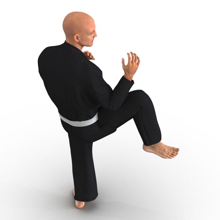 Karate Fighter Pose 3 Black Suit 3D