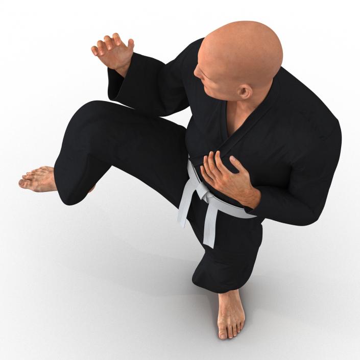 Karate Fighter Pose 3 Black Suit 3D