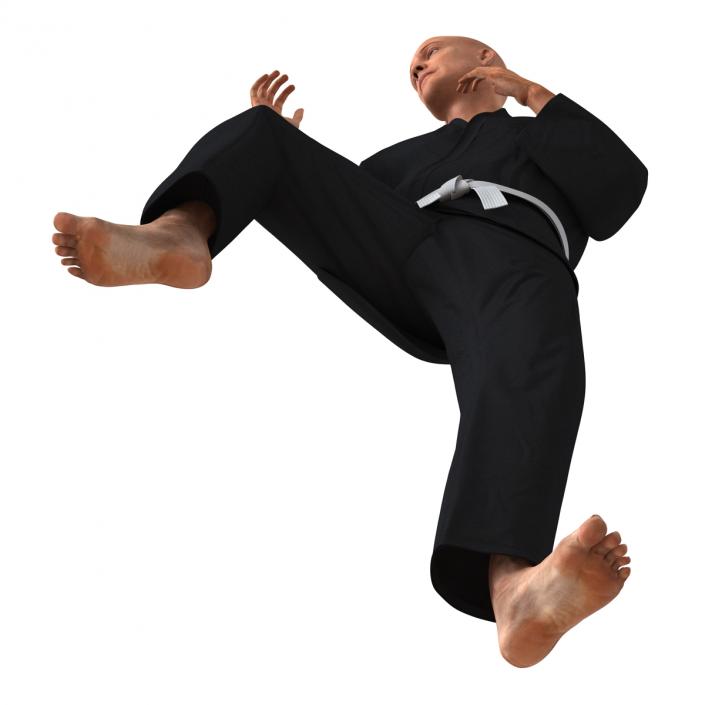 Karate Fighter Pose 3 Black Suit 3D