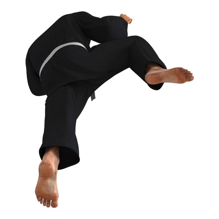 Karate Fighter Pose 3 Black Suit 3D