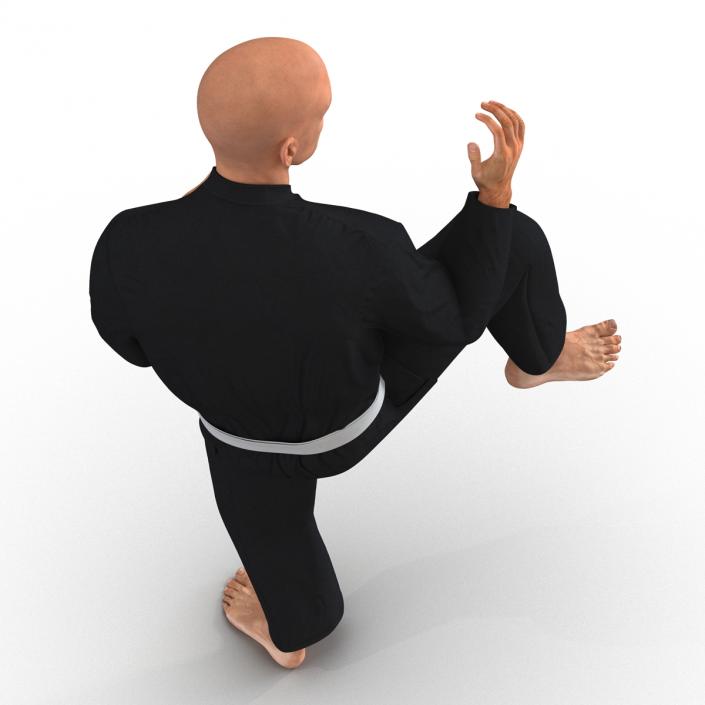 Karate Fighter Pose 3 Black Suit 3D