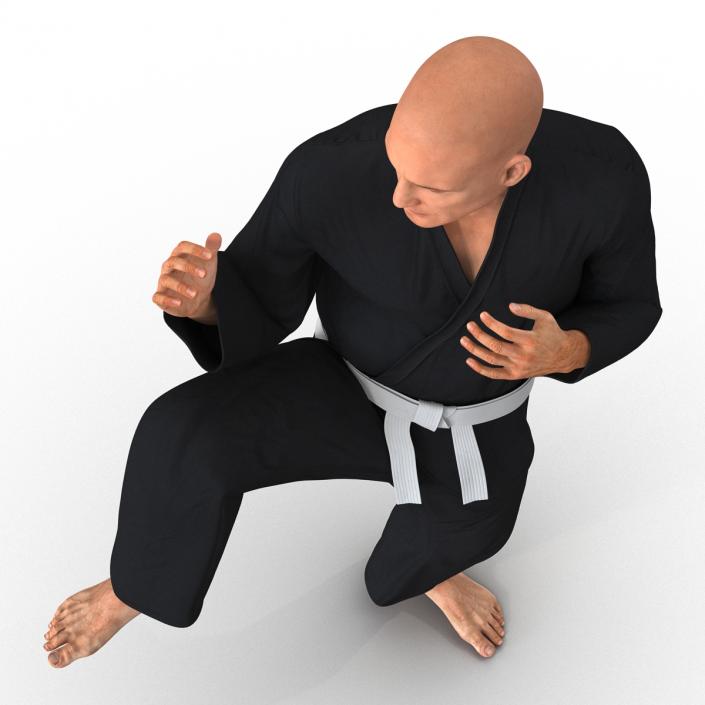 Karate Fighter Pose 3 Black Suit 3D