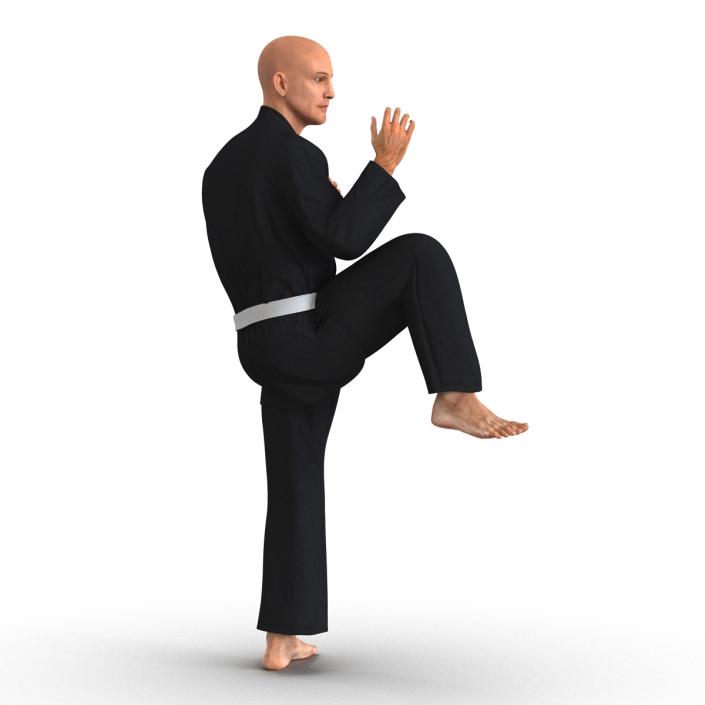 Karate Fighter Pose 3 Black Suit 3D