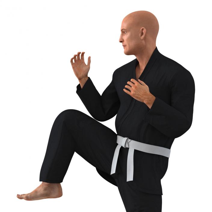 Karate Fighter Pose 3 Black Suit 3D