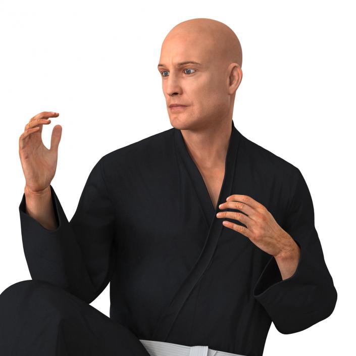 Karate Fighter Pose 3 Black Suit 3D