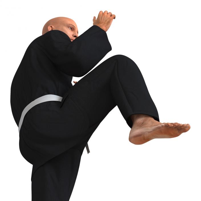 Karate Fighter Pose 3 Black Suit 3D