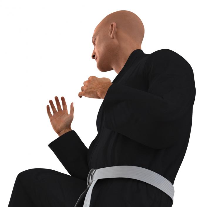 Karate Fighter Pose 3 Black Suit 3D