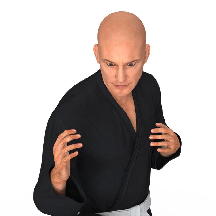 Karate Fighter Pose 3 Black Suit 3D