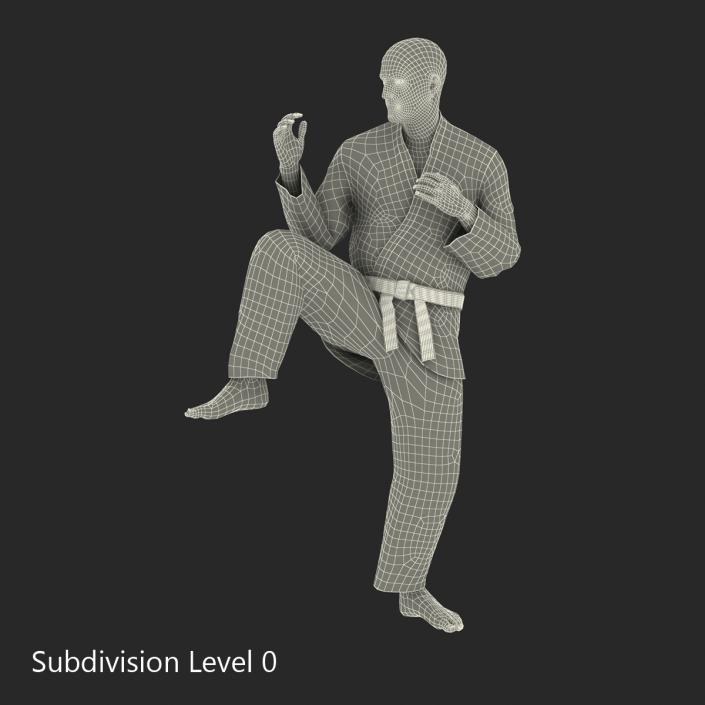 Karate Fighter Pose 3 Black Suit 3D