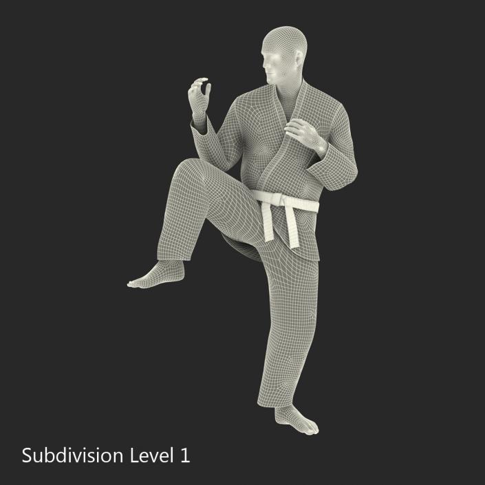 Karate Fighter Pose 3 Black Suit 3D