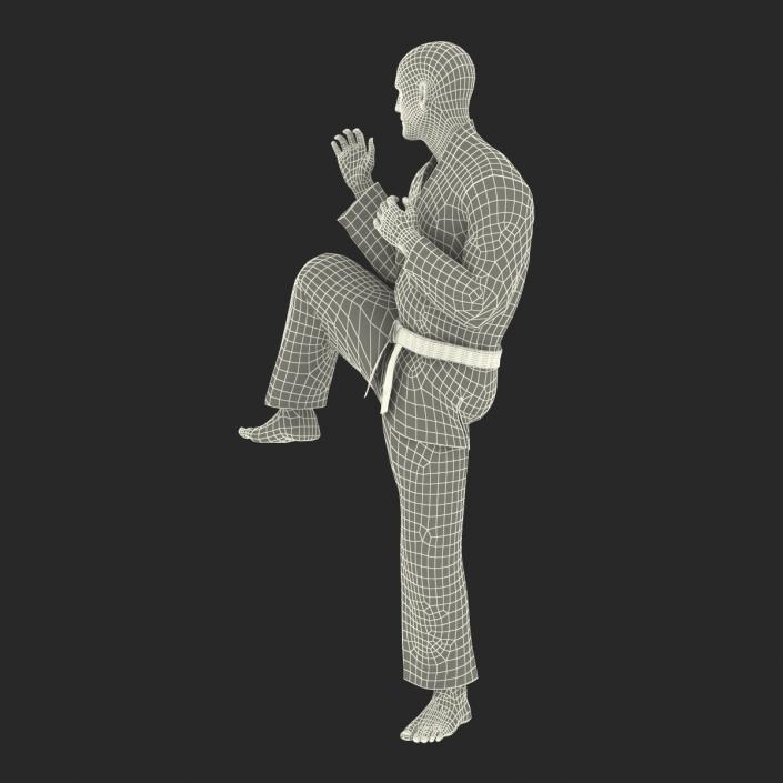 Karate Fighter Pose 3 Black Suit 3D