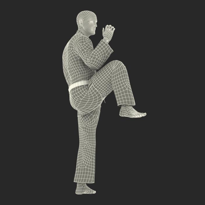 Karate Fighter Pose 3 Black Suit 3D