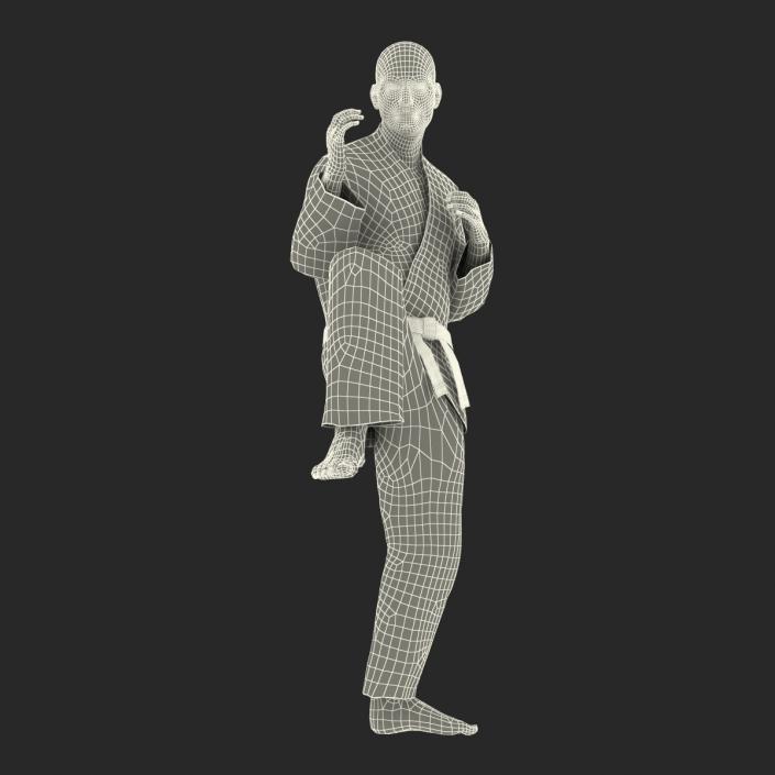 Karate Fighter Pose 3 Black Suit 3D