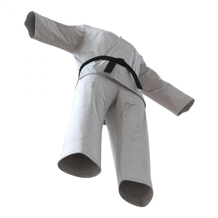 Karate White Suit 3D