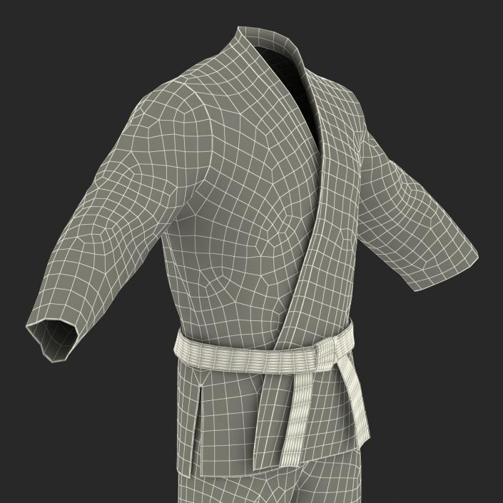 Karate White Suit 3D