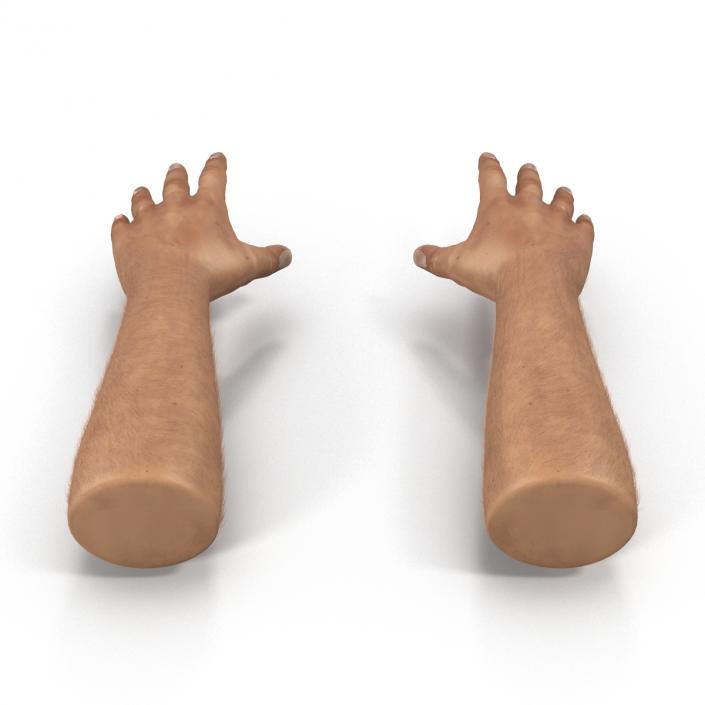 3D Man Hands with Fur model