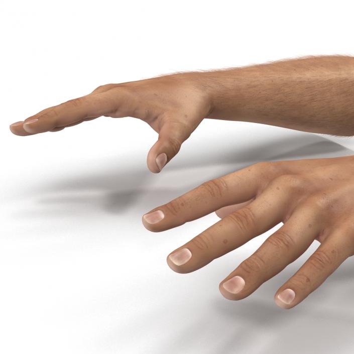 3D Man Hands with Fur model