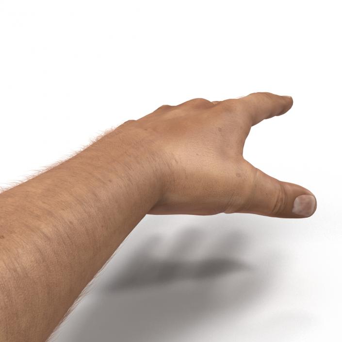 3D Man Hands with Fur model