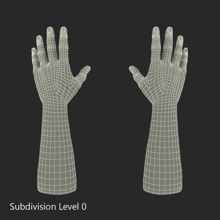 3D Man Hands with Fur model