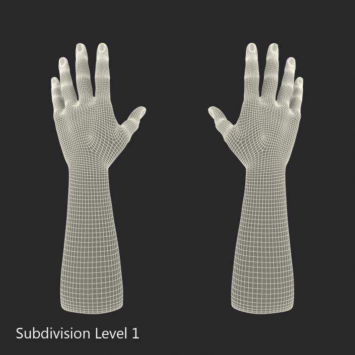 3D Man Hands with Fur model