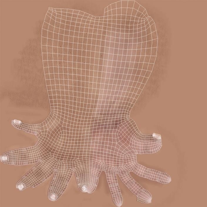 3D Man Hands with Fur model