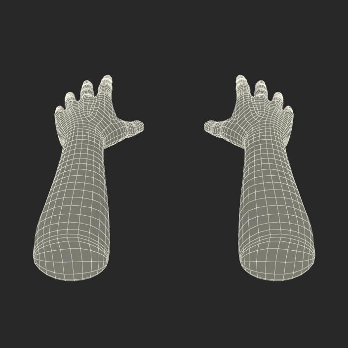 3D Man Hands with Fur model