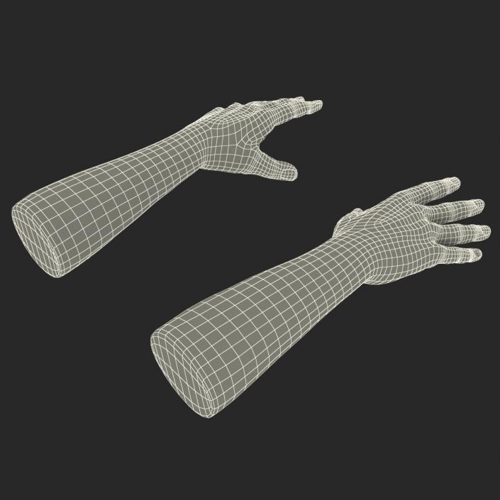 3D Man Hands with Fur model