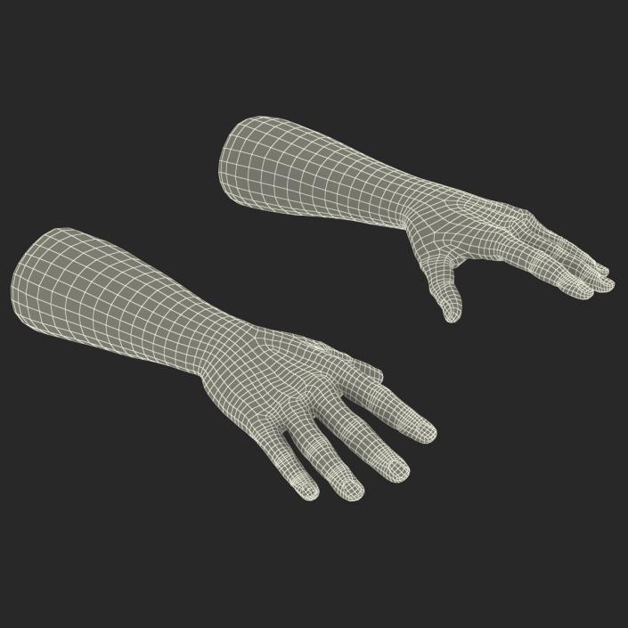 3D Man Hands with Fur model