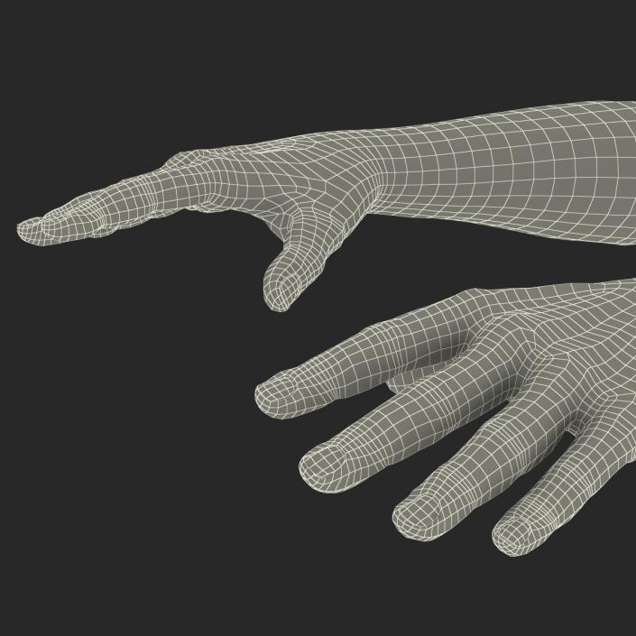 3D Man Hands with Fur model