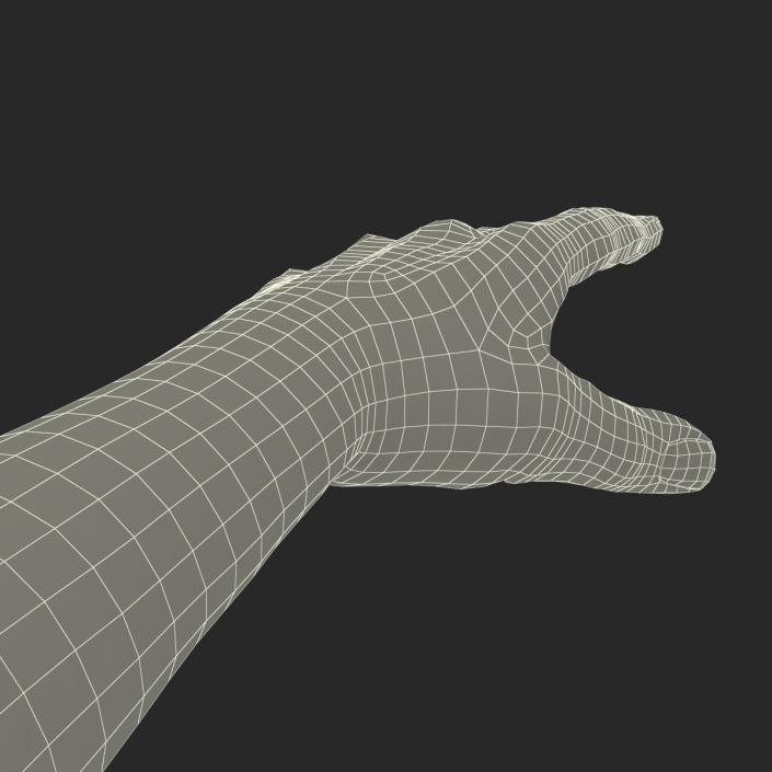 3D Man Hands with Fur model