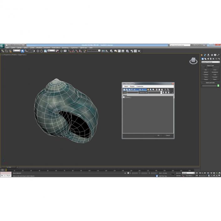 3D model Seashell 2