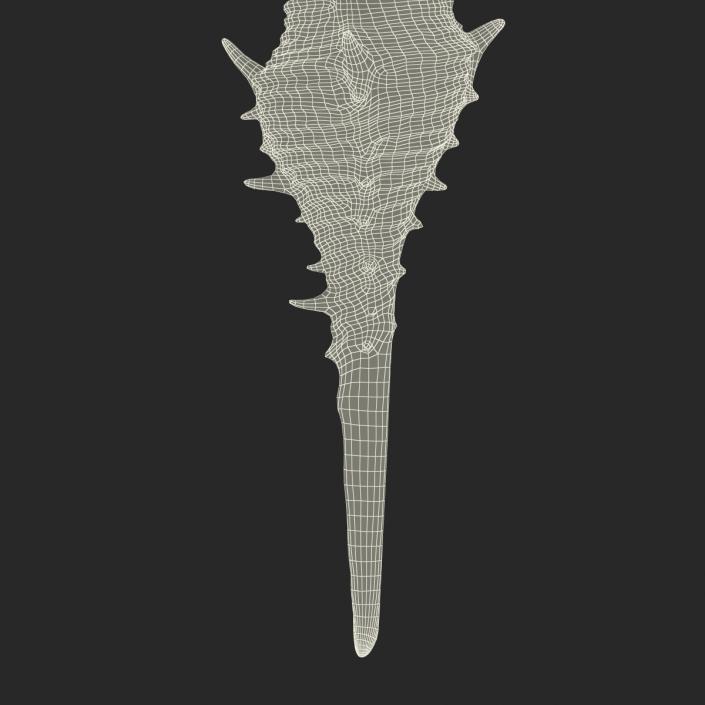 3D model Seashell 3