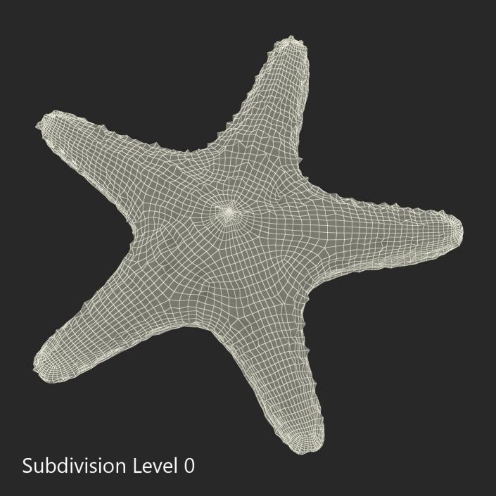 3D model Starfish