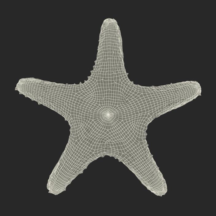 3D model Starfish