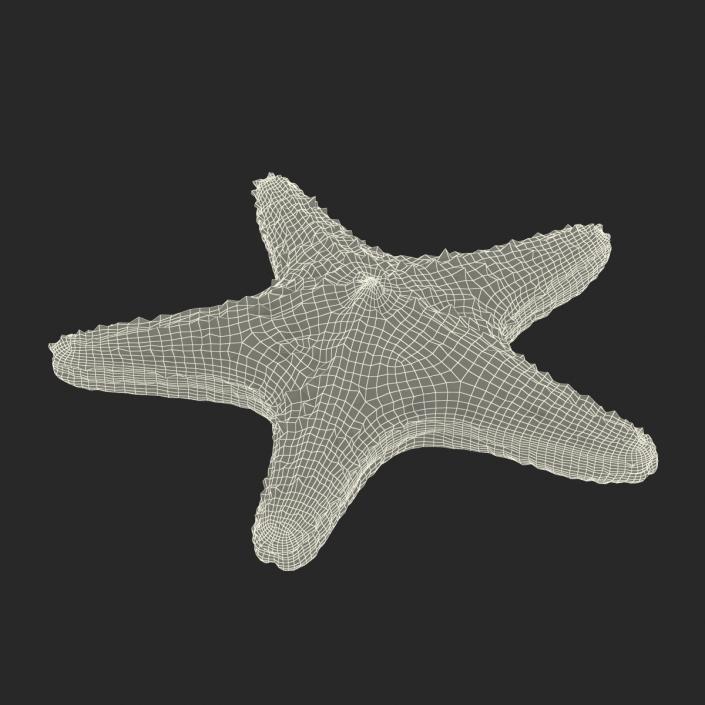 3D model Starfish