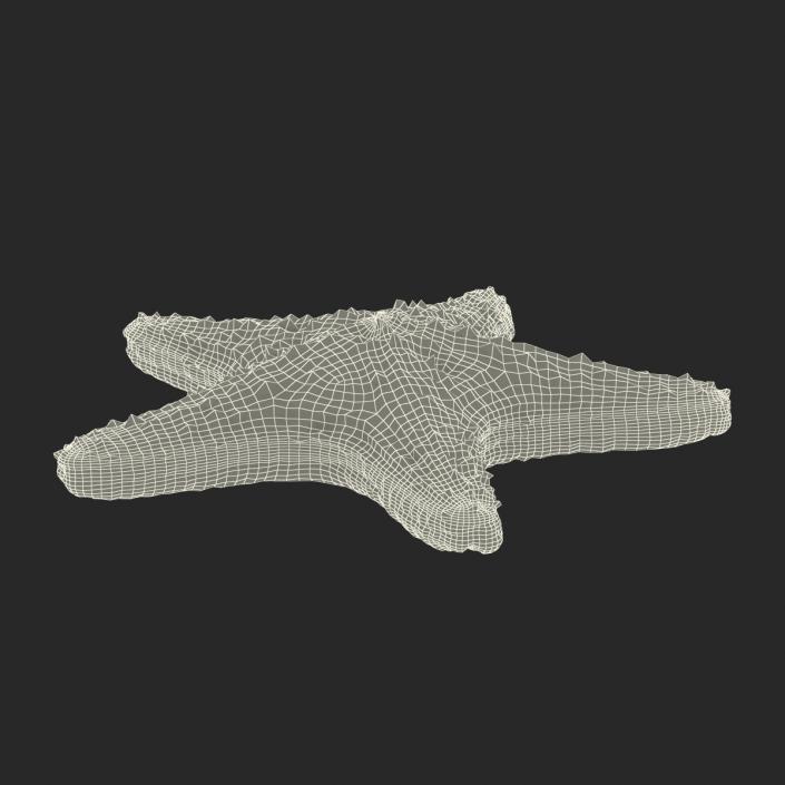 3D model Starfish