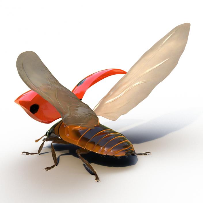 3D model Flying Ladybug with Fur Rigged