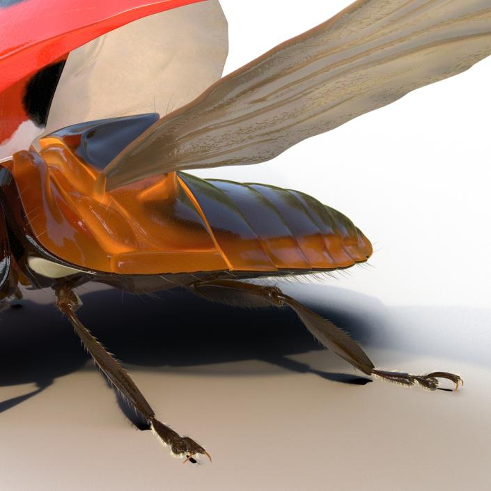 3D model Flying Ladybug with Fur Rigged