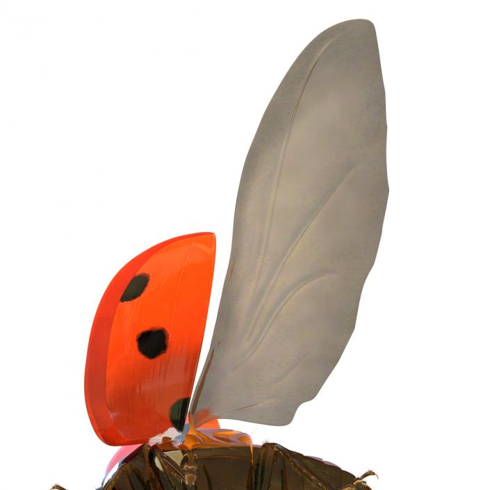 3D model Flying Ladybug with Fur Rigged