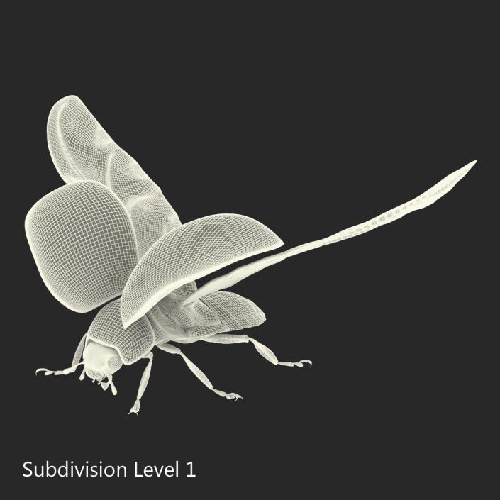 3D Flying Ladybug Rigged