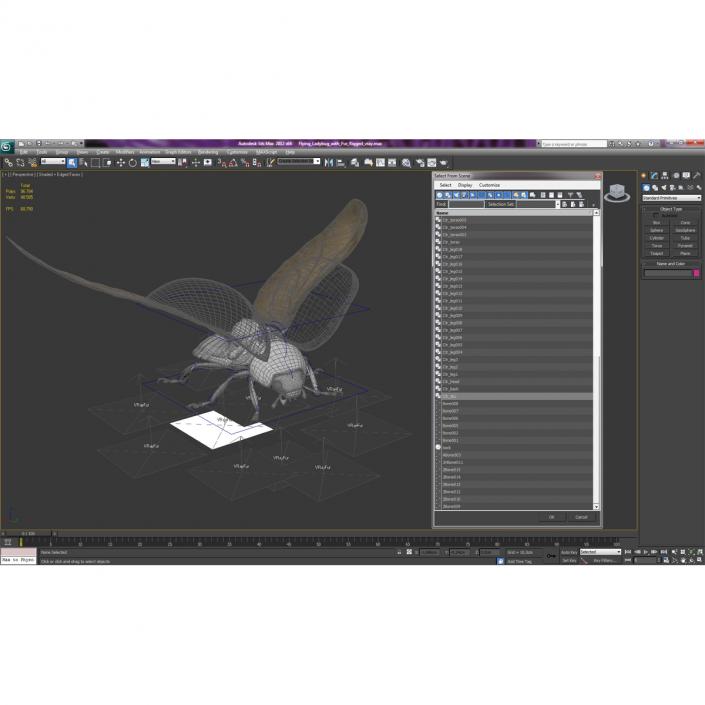 3D Flying Ladybug Rigged