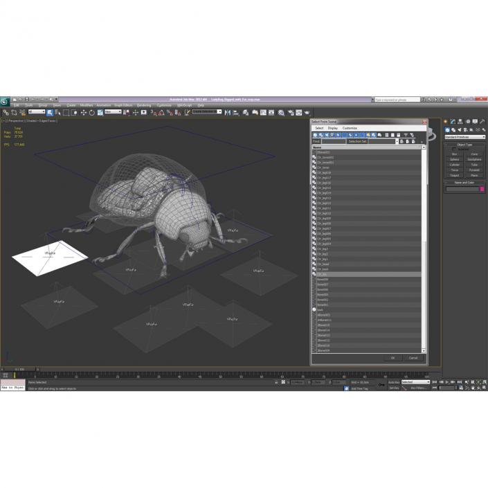 3D LadyBug Rigged with Fur model