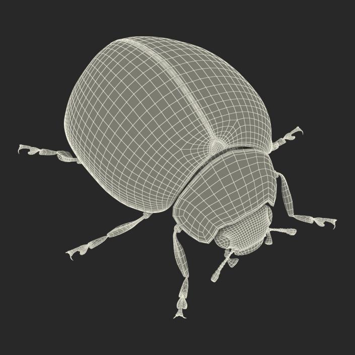 3D LadyBug Rigged with Fur model